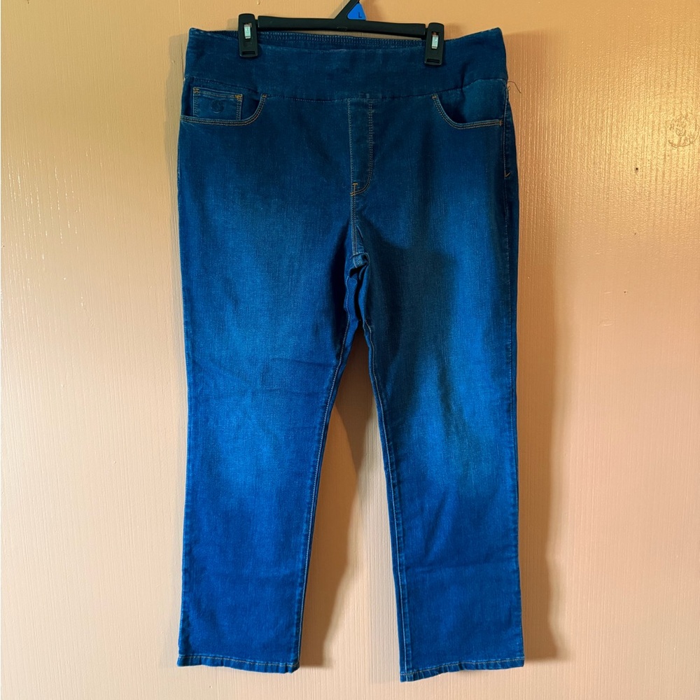 Gloria Vanderbilt Classic Fit Blue Cropped Jeans | Size 18